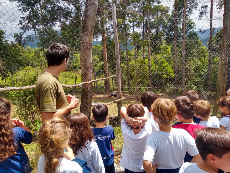 Saída de estudos: GramadoZoo - 5ºano - Colégio Mãe de Deus