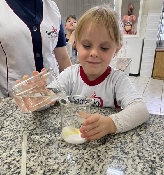 SAGRADO - Rede De Educação | Galeria: Infantil IV Aprende Sobre As ...