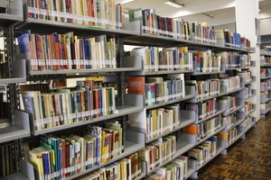 Biblioteca Escolar